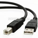 Usb 2.0 5m Printer Cable - Image 3